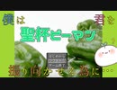 【聖杯ピーマン】好きな人の為に聖杯を求めた一人の青年の物語【実況】