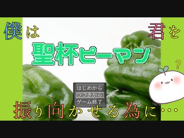 【聖杯ピーマン】好きな人の為に聖杯を求めた一人の青年の物語【実況】
