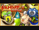 【実況】ヒマナッツが瀕死になったら「現実でひまわりを育てる」縛り（Part⑨）