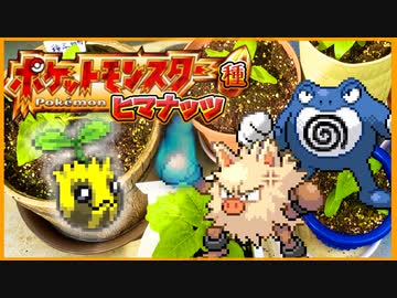 【実況】ヒマナッツが瀕死になったら「現実でひまわりを育てる」縛り（Part⑨）