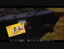 ペニーワイズはボンバーガール動画投稿者達とAmong usをやりたいようです