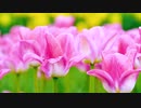 Work of Nagayama