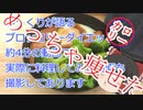 衝撃！！ブロッコリーダイエット！！