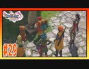 【実況】ロウとマルティナの正体とユグノア城跡地 #29【ドラゴンクエストⅪS】