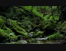 SPRIGGAN image album 3.Yu's Theme 　スプリガンより　(イメージアルバム) 3. 優のテーマ