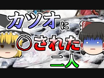 【1979年】冷凍カツオの下敷きになった二人･･･『冷凍カツオ崩壊事故』【ゆっくり解説】