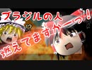 ゆっくり霊夢が征く！DSのNewスーパーマリオブラザーズ Part３【ゆっくり実況】