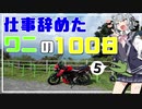 【CeVIO車載/ゆっくり車載】仕事辞めたワニとバイクの100日#5 初心者の奥多摩周遊道路と日原鍾乳洞【GSX150】