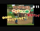 ほのぼのファミリーライフ！牧場物語　実況プレイpart11