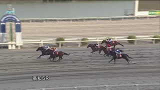 2021年9月4日高知競馬5R ＪＢＣ協会協賛高知佐賀スタリオンシリーズ ミッキーロケット賞(準重賞) エイシンビジョン