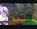 ゆかりさんのフェノトピアその3