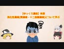 【ゆっくり講座】疾患 消化性潰瘍(胃潰瘍・十二指腸潰瘍)について学ぶ