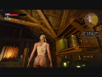 【ウィッチャー3】シリの尻を撮る！！