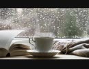 【11】雨音ピアノBGM30分☔お仕事・勉強・おやすみに　リラックス