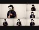 EWI-USBでロイツマ【Ievan Polkka】