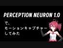 PERCEPTION NEURON 1.0使ってみた