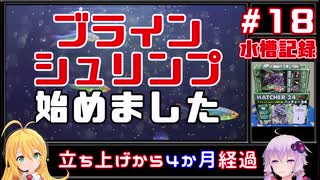 【ボイロアクアリウム】#18 レッドフィンレッドノーズにブラインシュリンプを【水槽記録】