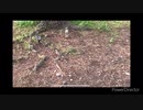 ビン割ってみた