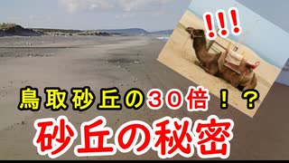 【日本一の砂丘】鳥取砂丘の３０倍！？猿ヶ森砂丘と砂丘の秘密に迫れ！