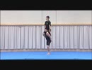 リ  ミ  ッ  ク  ス  変  身