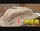 ブラックペッパーを使って1ヶ月熟成肉作ってみた Insane Black pepper Dry Age Experiment!!