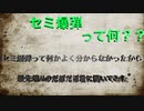 【だぼだぼ君】セミ爆弾とは？を聞いたら丁寧に教えてくれた