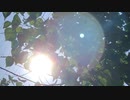 無条件の波動４２２　～愛の波動を感じて～