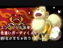 【ポケモン剣盾】エンジンジム出身の色違いガーディ孵化作戦！【ゆっくり実況】