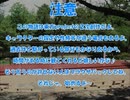 全てを失った付喪神が幻想入り　第四十張