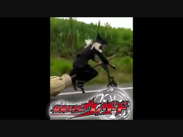 ホモと見る魔法使い