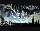 虫嫌いが行く昆虫王国冒険譚 #39【Hollow Knight】