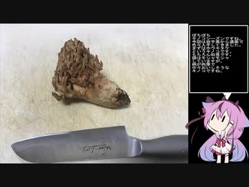 珍食材が食べたい！#26　ホウキタケの炒り煮