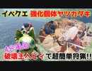 【MHRise】強化ヤツカダキイベも簡単に倒す装備・立ち回り紹介【イベクエ】