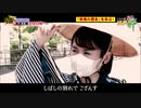 お江戸に恋して！【板橋】