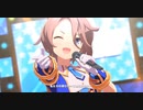 【ウマ娘】涙ひかって明日になれ！ ナリタタイシン【1080p × 60fps】