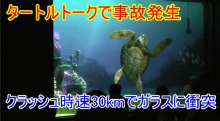 人気の タートルトーク 動画 365本 ニコニコ動画