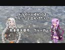 ドライバーゆかりはヴィッツとでかけたい！ to 熊本県天草市ブルーガーデン【VOICEROID車載】