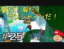 【夏しよう！】入社したい！スーパーマリオサンシャイン！【初見実況】＃25