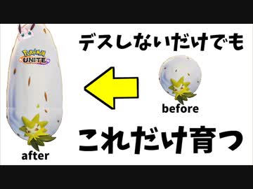 【ポケモンユナイト】ノーデスですくすく育った自慢のワタシラガです