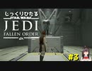 [JEDI FELLEN ORDER] ジェダイフォールンオーダーでSWにひたる動画 part 3