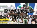 【競馬】ゆっくりさんと未来に語り継ぎたい名馬たち その044【ゆっくり朗読】