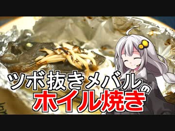 釣れなくても料理！メバルのホイル焼き！【VOICEROIDキッチン】