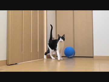 父ちゃん帰宅「おかえり」って言ってくれるかな？