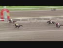 トレーナーと見るプリンニシテヤルノ初勝利戦