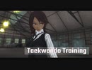 MMD FIGHT - Taekwondo Training