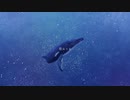 肺呼吸/可不