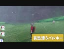 こいつ厨ポケか…？【不人気ポケモン救済企画】ポケットモンスターソード＃３【剣盾縛りプレイ】