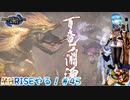 【実況】MHRISEやる！【45】