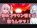 刹那の見斬りをお姉ちゃんにやらせる葵【星のカービィSDX】