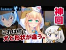【withあかり】サマポケで性欲を満たすのは間違っているだろうか part20:これは何？犬と形状が違う。